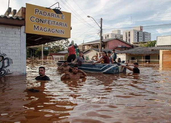 Brazil: Tạm dừng áp thuế nhập khẩu gạo sau những trận lũ lụt kinh hoàng