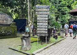 "Chữa lành" với nghi lễ tắm nước thiêng ở Đền Tirta Empul