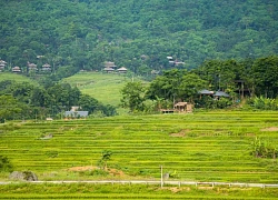 Không thể bỏ lỡ Pù Luông mùa lúa chín, bạn trẻ đua nhau khoe check-in ruộng bậc thang sớm