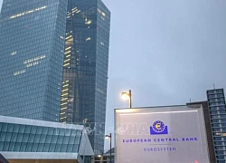 ECB sẵn sàng cắt giảm lãi suất