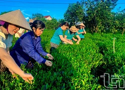 Hồ Ghềnh Chè - điểm đến ấn tượng