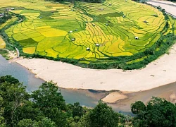 'Mùa vàng' trên ruộng bậc thang Kon Tu Rằng