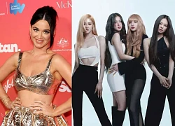 Katy Perry đi hát đám cưới cát xê đã triệu USD, BLACKPINK bị đào mức thu nhập