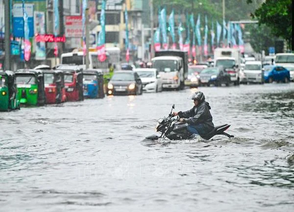 Lũ lụt ở Sri Lanka làm 12 người tử vong