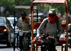 Tránh đâu cho khỏi nắng?