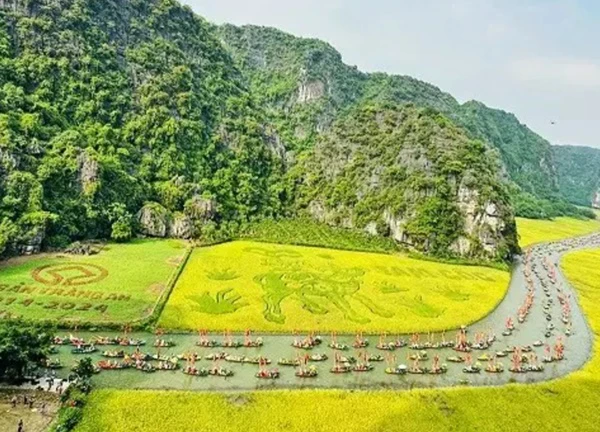 Tuần Du lịch Ninh Bình 2024: Nhuộm sắc vàng Tam Cốc - Tràng An