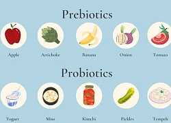 Vai trò của prebiotic đối với sức khỏe đường ruột