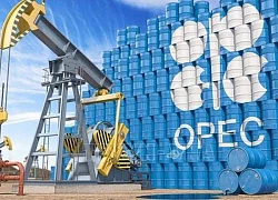 Vụ 'đặt cược' của OPEC+