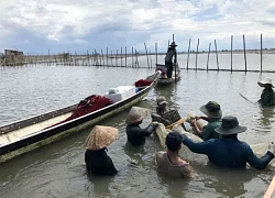 Bóc gỡ các ổ nhóm tội phạm hoạt động 'bảo kê', tranh giành địa bàn kinh doanh hải sản