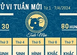 Tử vi ngày mới 12 con giáp ngày 1/7/2024: Mùi tự tin, Hợi ảm đạm