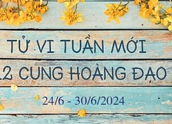 Tử vi 12 cung hoàng đạo hôm nay 28/6/2024: Bọ Cạp cứng nhắc, Song Ngư thông minh