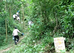 Hệ thống rừng phòng hộ núi Hem, thác Mây ở Phú Thọ: Điểm du lịch sinh thái mới hấp dẫn