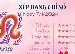 Tử vi ngày 1/7/2024 của 12 cung hoàng đạo: Sư Tử ngập tràn năng lượng