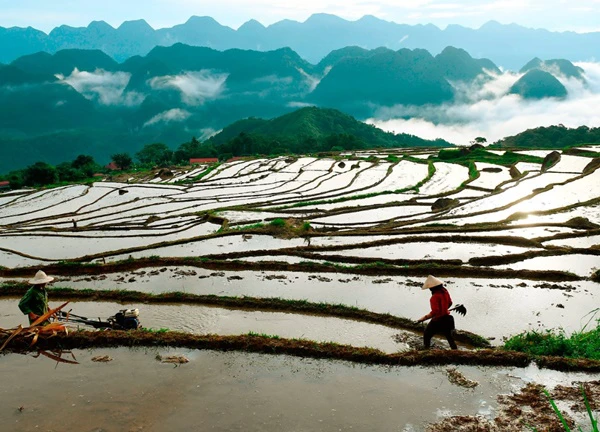 Pù Luông mùa nước đổ