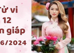 Tử vi 12 con giáp hôm nay ngày 28/6/2024: Dậu cẩn thận, Mão thận trọng