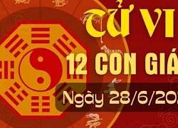 Tử vi ngày mới 12 con giáp thứ 6 ngày 28/6/2024: Tý nóng nảy, Thìn thông minh.