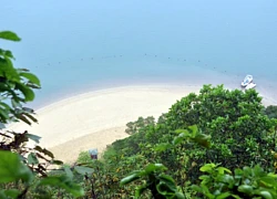 Vẻ đẹp Ti Tốp