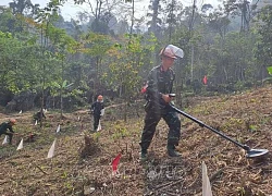 Việt Nam được tín nhiệm trong hoạt động giảm thiểu rủi ro từ bom mìn