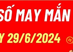 Xếp hạng may mắn của 12 con giáp ngày 29/6/2024: Người tuổi Mão may mắn nhất hôm nay