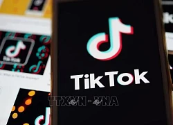 Bầu cử Mỹ 2024: TikTok trở thành công cụ thu hút thêm cử tri