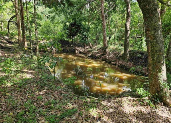 Điều tra vụ thanh niên tử vong dưới ao ở vườn cao su