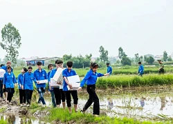 'Áo xanh' đẫm mồ hôi, lội ruộng hỗ trợ thi công đường dây 500kV