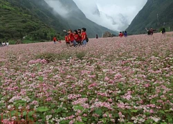 Cảnh đẹp say lòng người của Hà Giang