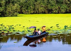 Khám phá sự thú vị trong mênh mông rừng tràm Trà Sư