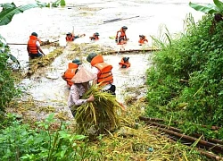 Tập trung khắc phục hậu quả mưa lũ, ổn định cuộc sống người dân