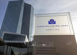 Lý do ECB đi trước Fed trong việc nới lỏng chính sách tiền tệ