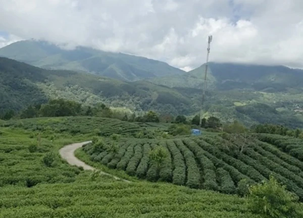 Câu lạc bộ "Cùng em khám phá Công viên địa chất" trải nghiệm thực địa tại huyện Nguyên Bình