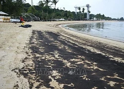 Singapore đóng cửa các bãi biển do sự cố tràn dầu