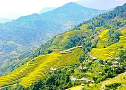 Xây dựng thương hiệu du lịch gắn với di sản ruộng bậc thang