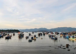 Đến Nha Trang dạo chơi bến cá, làng chài