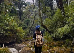 Hè này đến Lai Châu trekking xuyên rừng, ăn phở nhắng thái tay