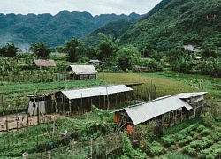 Khung cảnh thanh bình tại ngôi làng hơn 700 tuổi ở Hòa Bình