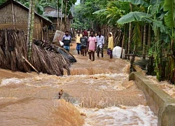 Mưa lũ gây thiệt hại nặng nề tại Ấn Độ và Bangladesh