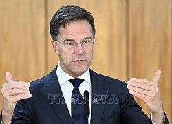 Politico: Tất cả thành viên NATO nhất trí ông Mark Rutte làm Tổng thư ký tiếp theo