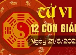 Tử vi ngày mới 12 con giáp ngày 21/6/2024: Tỵ làm ăn tiến tới, Tuất kiềm chế.