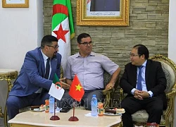 Thúc đẩy hợp tác thương mại-đầu tư giữa Việt Nam, Algeria