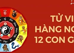 Xem tử vi ngày mai 12 con giáp ngày 20/6/2024 &#8211; Tử vi hàng ngày 20/6/2024