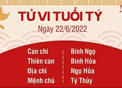 Xem tử vi ngày mai 12 con giáp ngày 22/6/2024 - Tử vi hàng ngày 22/6/2024