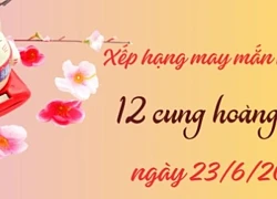 Xếp hạng may mắn của 12 con giáp ngày 23/6/2024: Nhiều con giáp kém may mắn