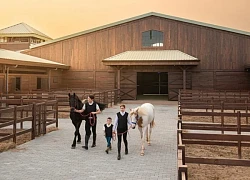 Du khách hào hứng khám phá bộ môn mã thuật tại Vinpearl Horse Academy Vũ Yên