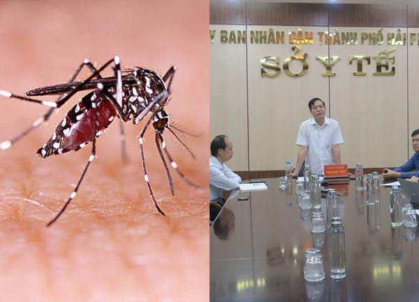 Hải Phòng: Đẩy mạnh các biện pháp phòng chống bệnh Sốt xuất huyết Dengue