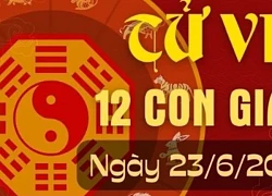 Tử vi 12 con giáp hôm nay ngày 23/6/2024: Tý tận hưởng, Tỵ tích cực