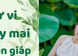 Tử vi ngày mới 12 con giáp Chủ Nhật ngày 23/6/2024: Mão bảo vệ đôi mắt, Ngọ sự nghiệp lên xuống.