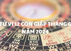 Tử vi tuần mới 12 con giáp từ 17/6 - 23/6/2024: Mão tích cực, Tý thăng trầm