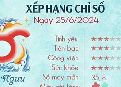 Xem tử vi ngày mai 12 cung hoàng đạo 25/6/2024 - Tử vi hàng ngày 25/6/2024