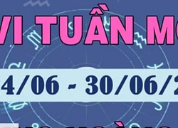 Tử vi tuần mới 12 cung hoàng đạo từ 24/6 - 30/6/2024: Song Tử, Bảo Bình tài chính tích cực